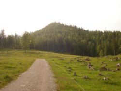 1913-07-05_Regina-F-Rau_Sonnenspitz_Kotalm-Jachenau (433).JPG